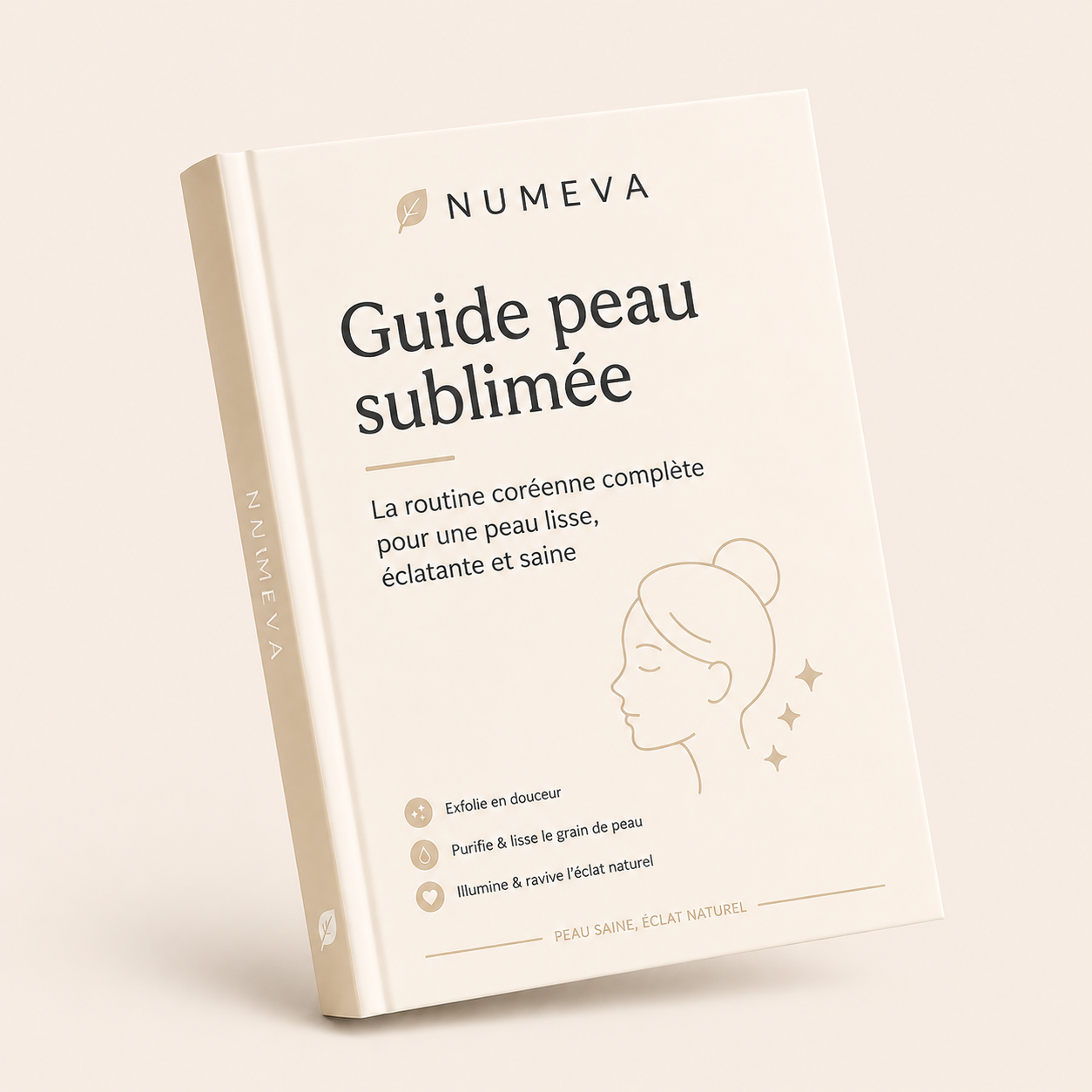 Ebook