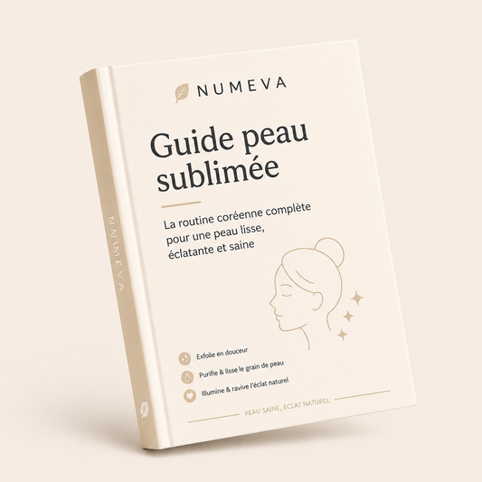 Ebook